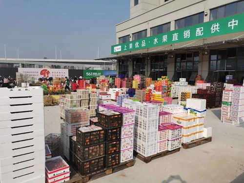 海吉星農產品物流園開業運營 安慶人的 菜籃子 拎得更穩了